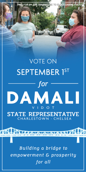 Graphic for Damali Vidot for State Representative.