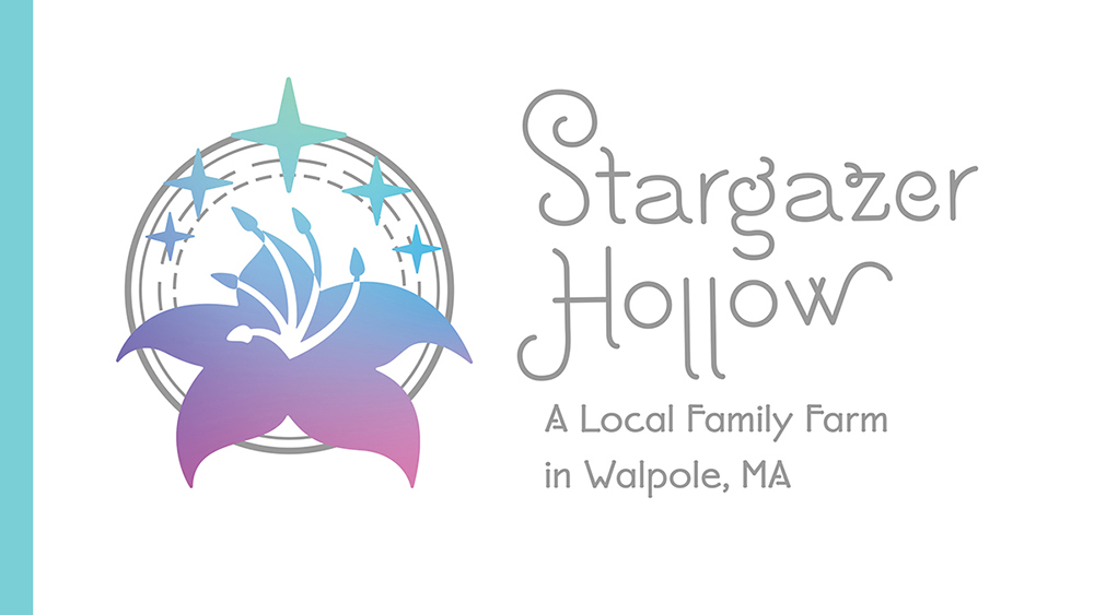 Logo for Stargazer Hollow, a family-owned farm.